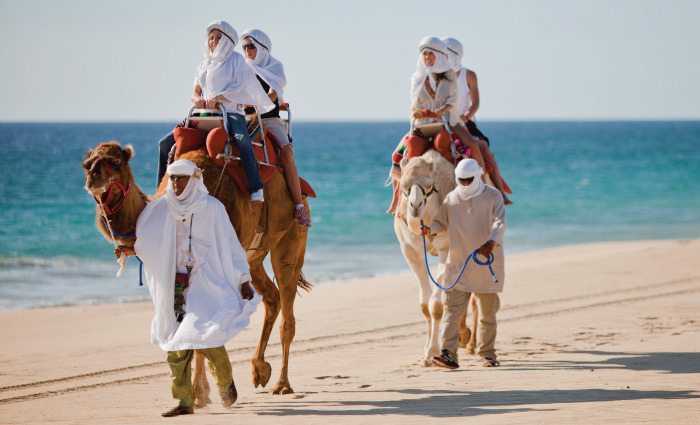 Camel Ride in Cabo