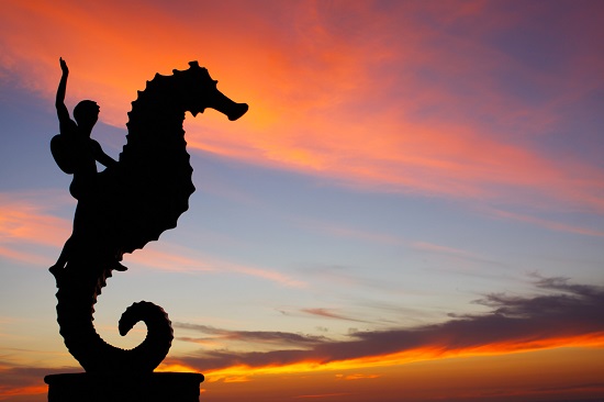 Puerto Vallarta - Seahorse sculpture