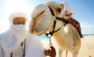 Activities in Cabo San Lucas - Camel Ride