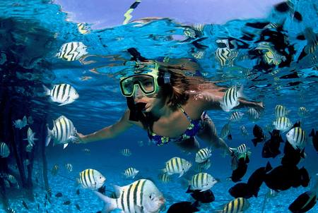 Scuba Diving - Cancun’s Top 10 Activities