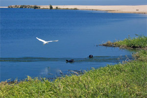 SAN JOSE'S BIRD SANCTUARY