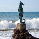 Puerto Vallarta’s Best Beaches