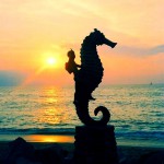 5 Not to Be Missed Activities in Puerto Vallarta