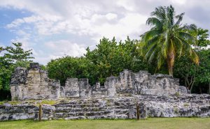 El Rey - Mayan Ruins
