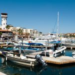 Recommended Restaurants in Cabo San Lucas