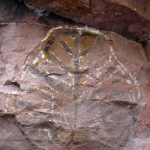 Loreto’s Famed Prehistoric Art